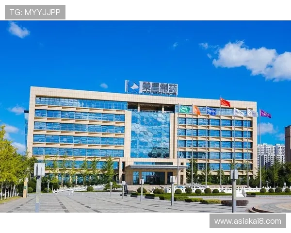 凯发天生赢家一触即发首页全面升级打造极致用户体验引爆行业热潮