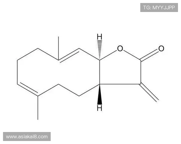 凯发娱乐官网登录账号安全保护措施提升账户安全保障